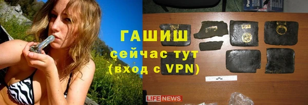 сатива Няндома