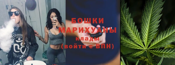 сатива Няндома