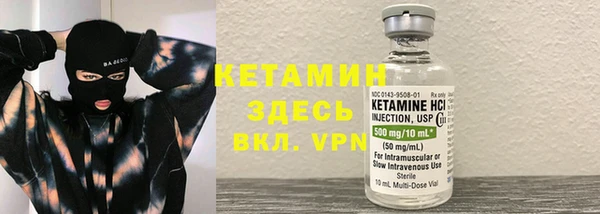 сатива Няндома
