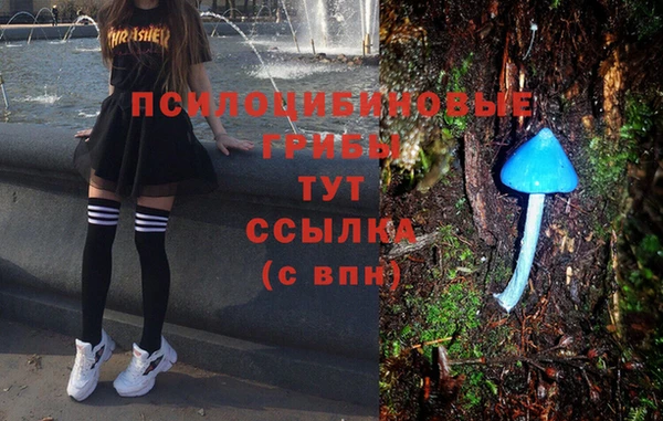 ALPHA-PVP Нязепетровск