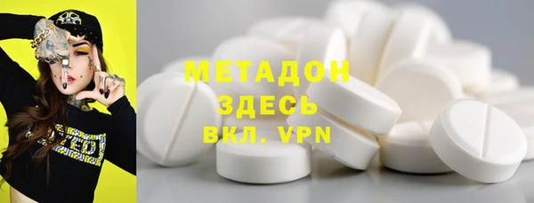 сатива Няндома