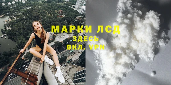 сатива Няндома