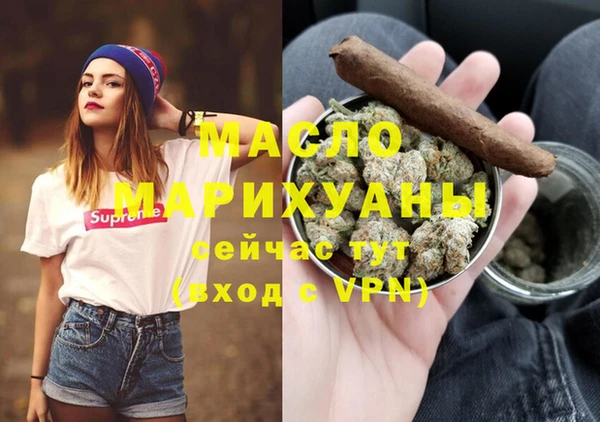 сатива Няндома
