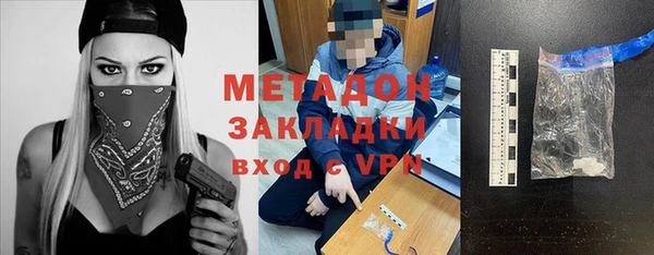сатива Няндома