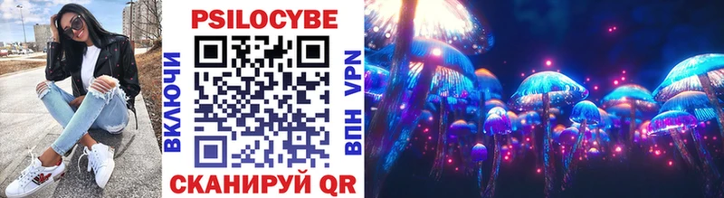 Галлюциногенные грибы Psilocybe  KRAKEN ССЫЛКА  Туринск 
