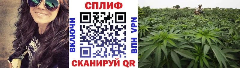 ссылка на мегу ссылки Туринск МАРИХУАНА VHQ купить наркотики цена